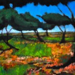 Landscape, Balboa Park 3