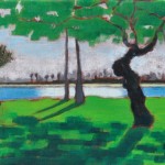 Mission Bay Park