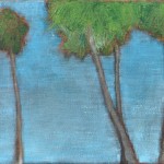 Palm Trees